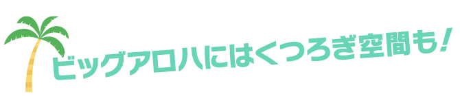 ビッグアロハにはくつろぎ空間も！