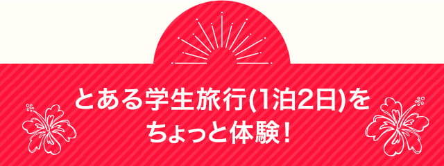 とある学生旅行 (1泊2日) をちょっと体験。